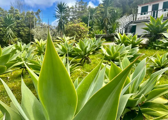 Azores Quinta Do Vale * Furnas (Azores)