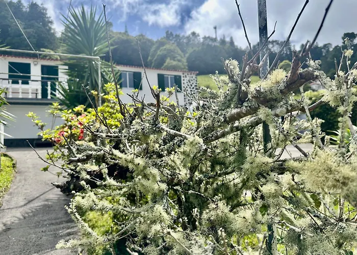 Azores Quinta Do Vale Casa vacanze