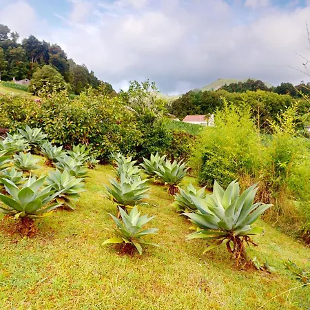 Azores Quinta Do Vale Furnas (Azores)