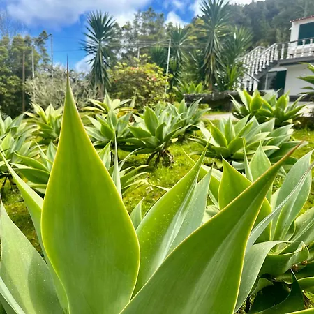 Azores Furnas Quinta Do Vale * Furnas (Azores)