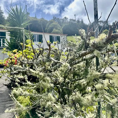 Azores Furnas Quinta Do Vale Holiday home