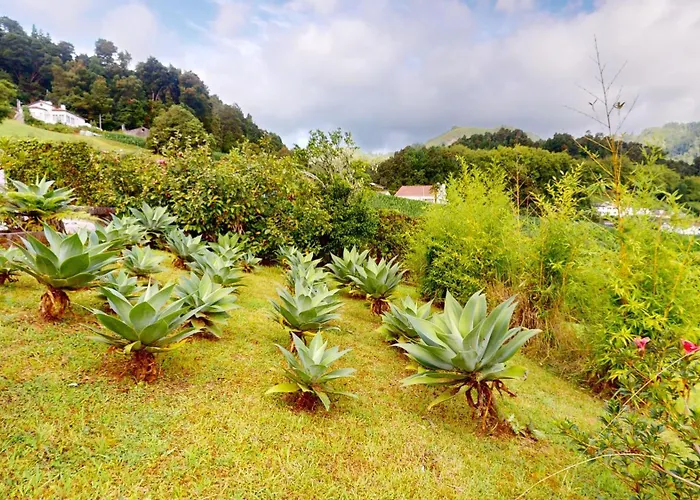 Azores Quinta Do Vale Furnas (Azores)