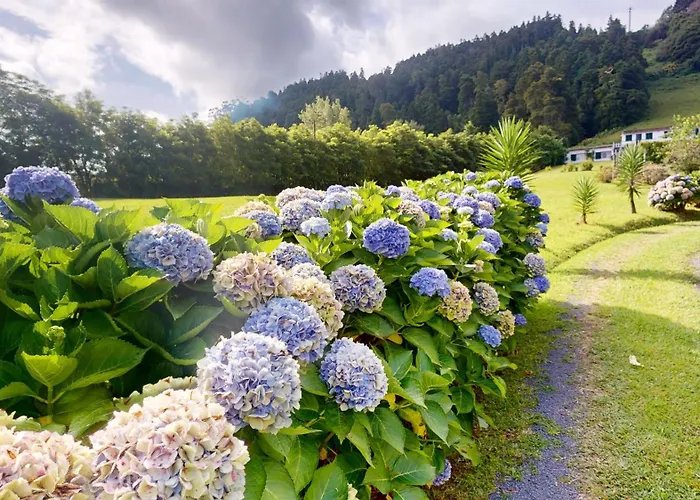 Azores Quinta Do Vale *